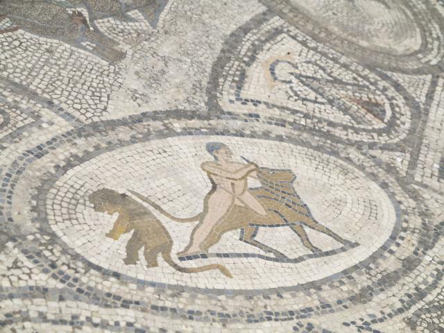 volubilis-11