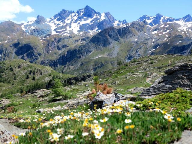 NP Gran Paradiso 14