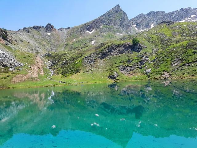 NP Gran Paradiso 1