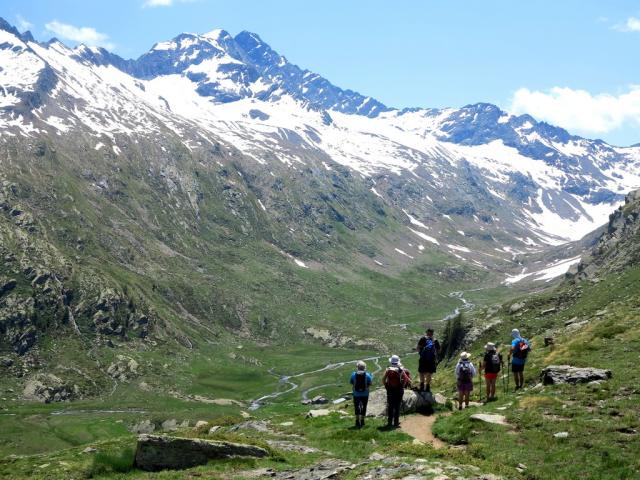 NP Gran Paradiso 13