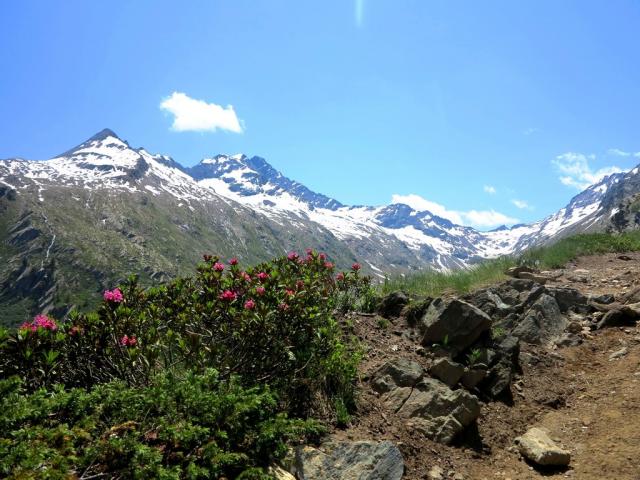 NP Gran Paradiso 12