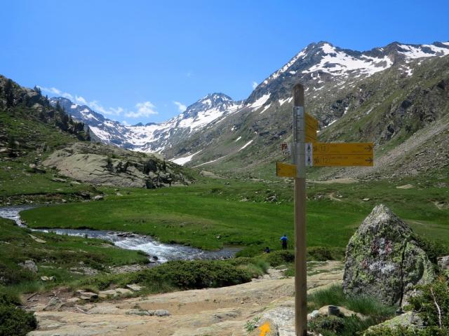 NP Gran Paradiso 11