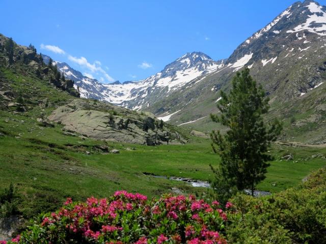 NP Gran Paradiso 10