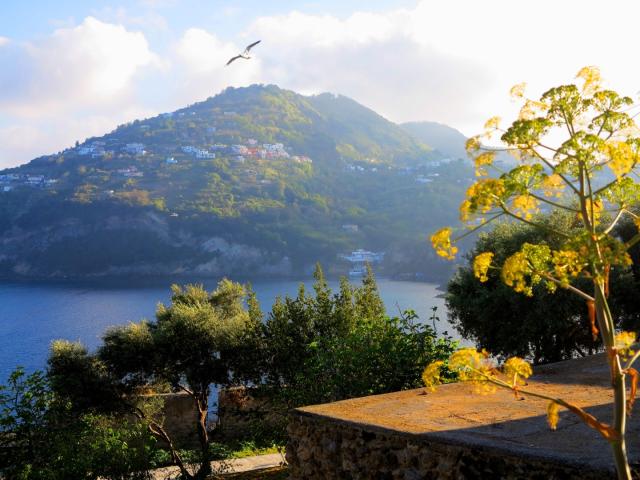 Ischia-10