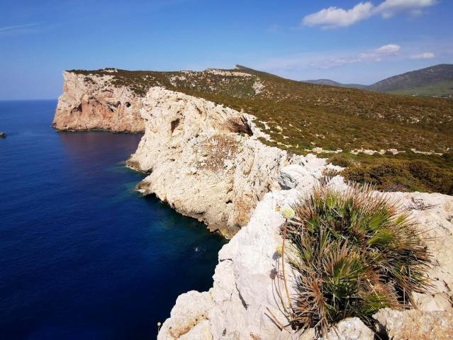 Sardinie Capo Caccia 03