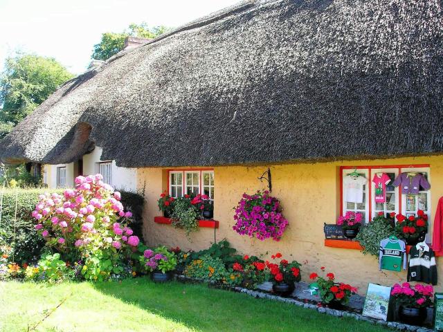 Irsko   Adare 4