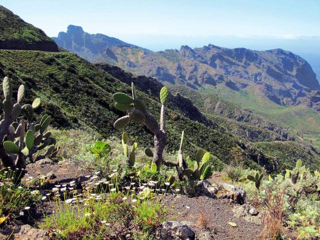 Spanelsko Tenerife 4