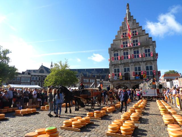 Gouda 4
