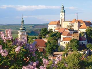 NP Jižní Moravy a Alpy