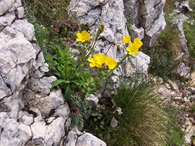 durmitor-02