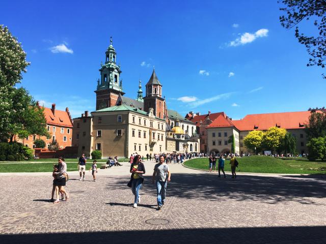 Krakov   Wawel (2)