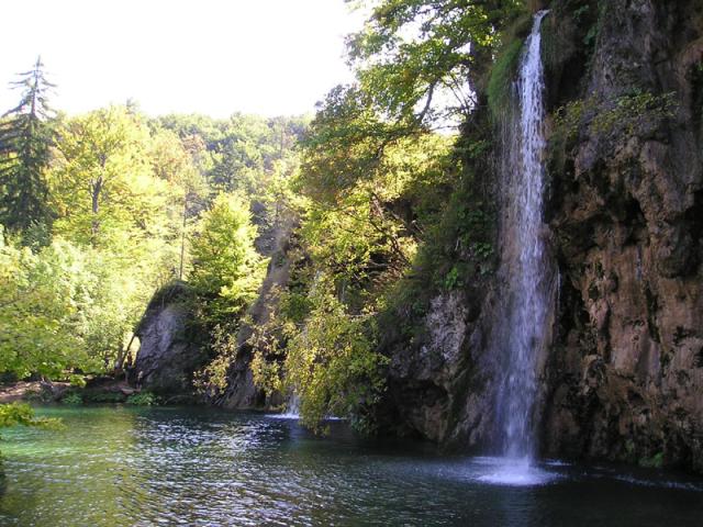 P1010058