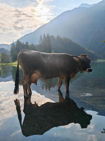 Lechtalské Alpy 01
