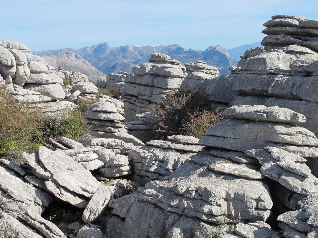 np-torcal-04