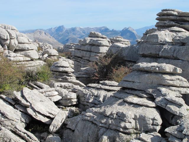 np-torcal-04