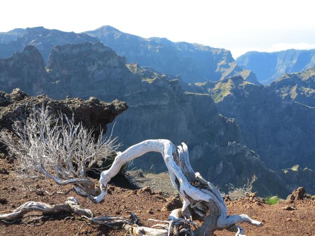 pico-ruivo-19