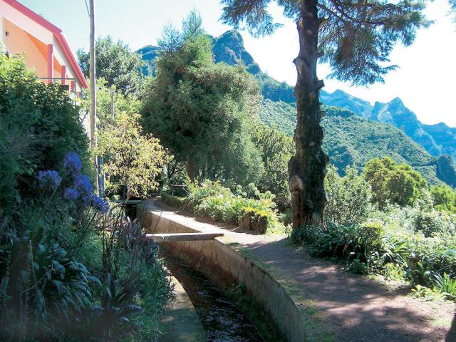 Madeira_levada