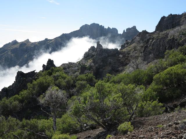 pico-ruivo-22