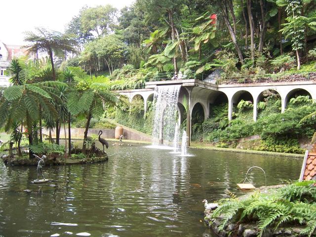 tropicka-zahrada-10