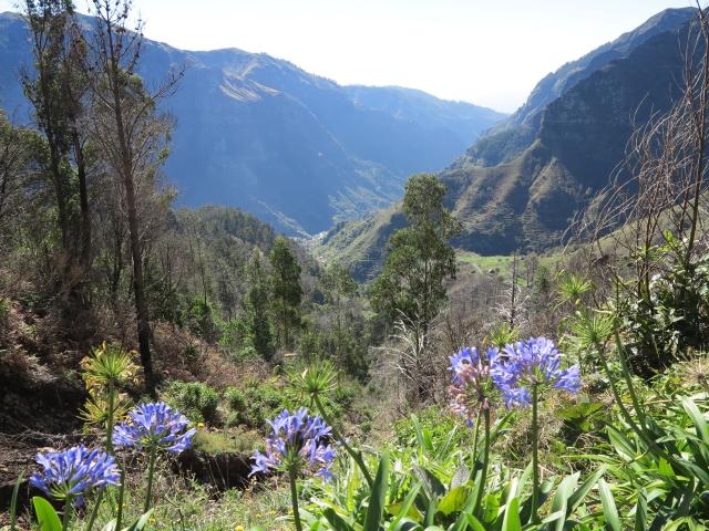 levada-rabacas-12