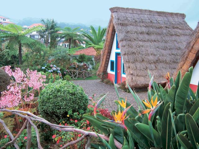 Madeira_Santana