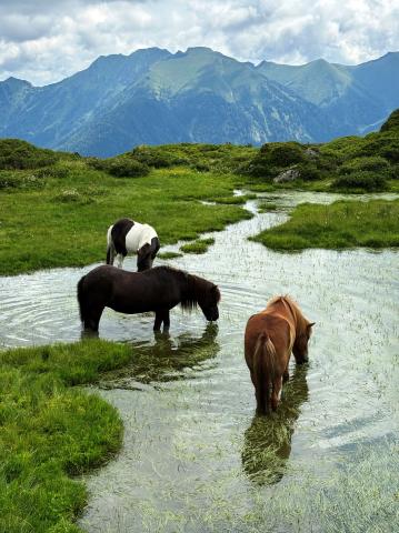 Bad Gastein 02