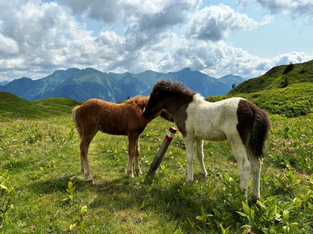 Bad Gastein 03
