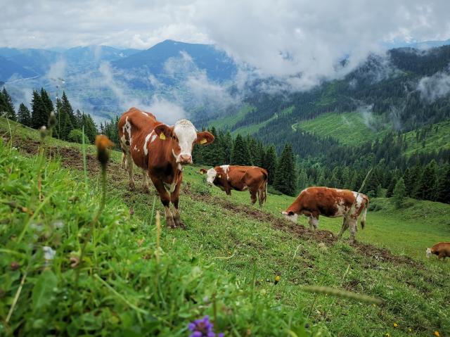 Tennengebirge 7