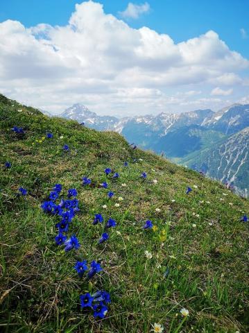 Tennengebirge 15