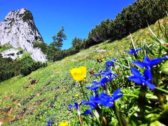 Tennengebirge 08