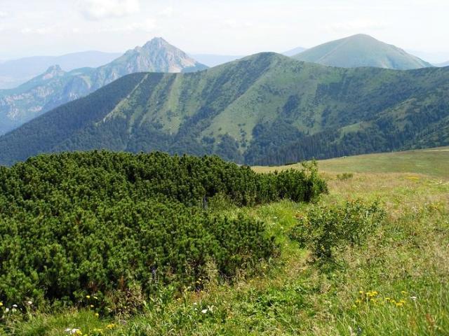 Fatra Kriváň 2
