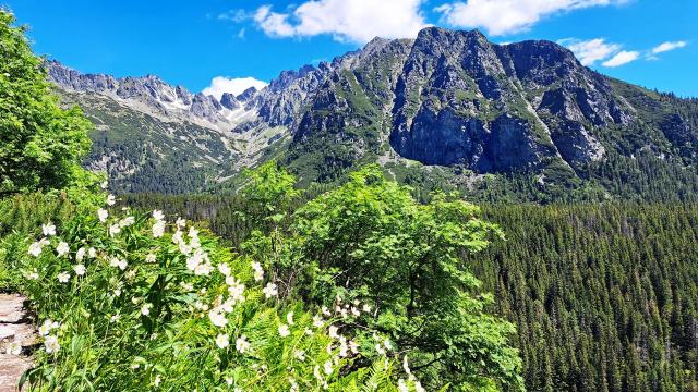 Tatry6