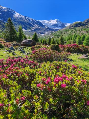 Bormio 09