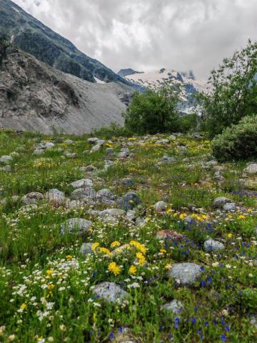 Morteratsch 01