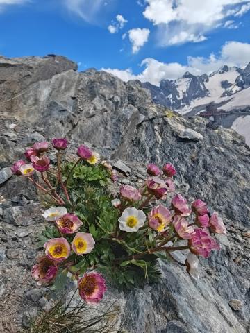 Bormio 18