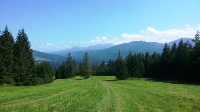Slovensko skorusinske