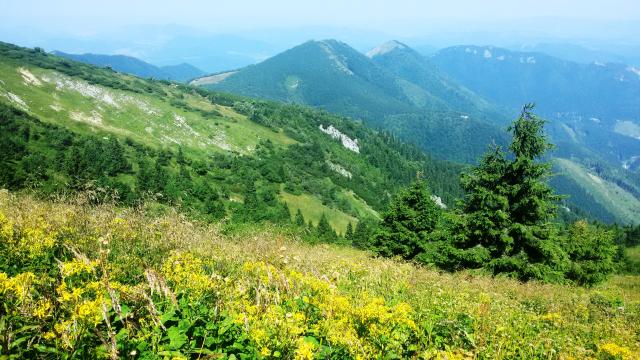 Slovensko snilov2