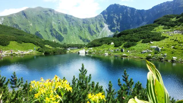 Slovensko roh.plesa2