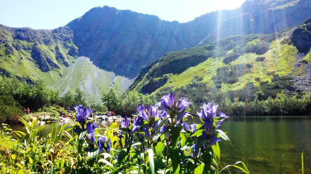 Slovensko roh.plesa3