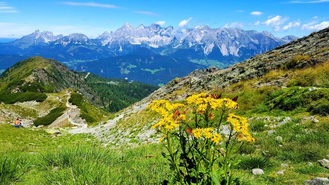 Dachstein 5