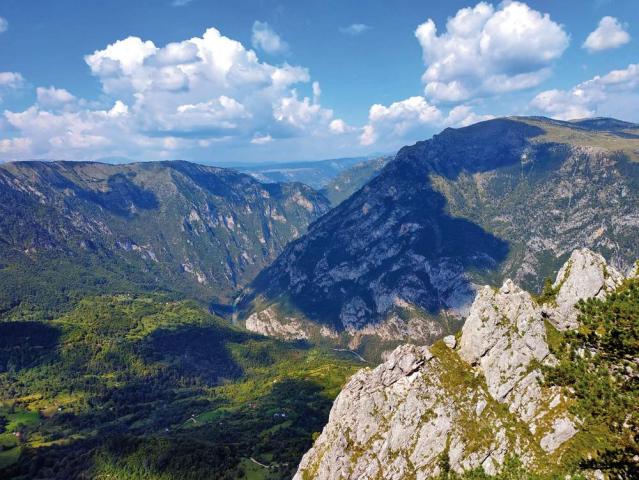 Cerna Hora Durmitor LL