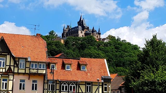 Nimecko Wernigerode2