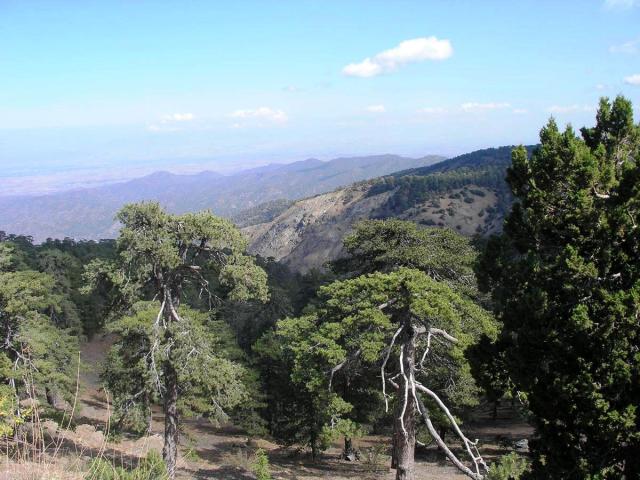 Kypr Troodos 01