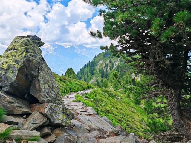 Dolomity 16