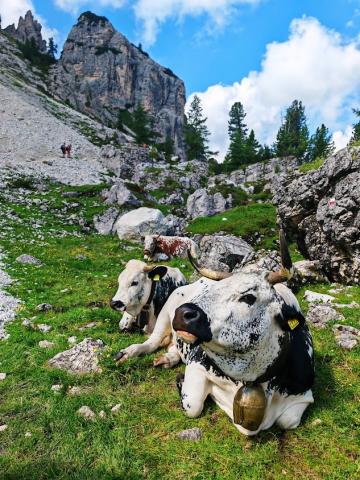 Dolomity 07