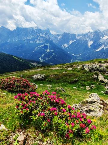 Dolomity 06