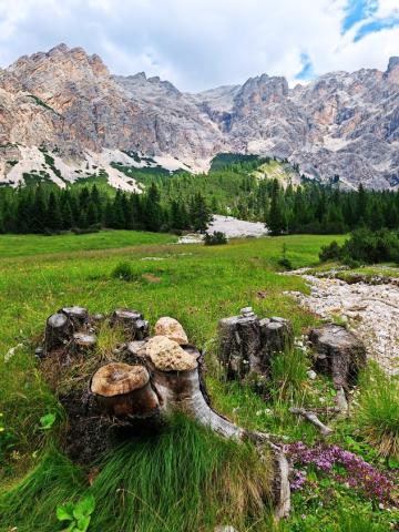 Dolomity 05