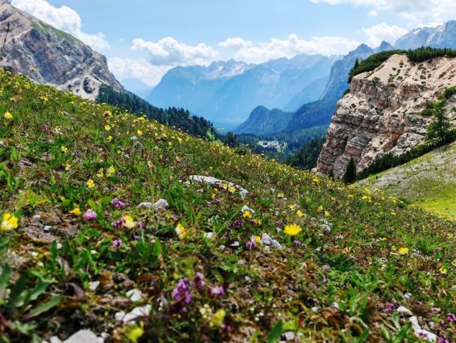 Dolomity 03