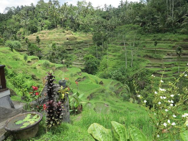 bali-30