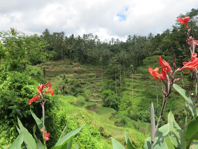 bali-32